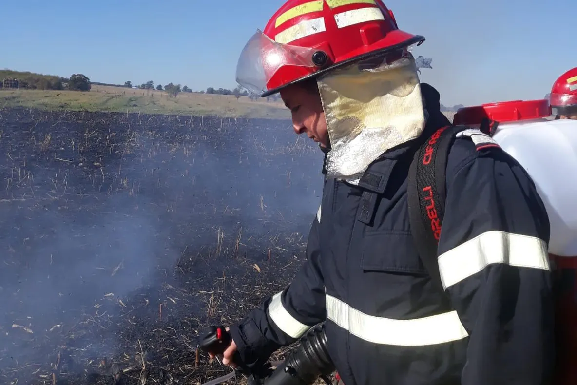 Arad: Incendiile de vegetație uscată au cuprins 65 de ha în câteva zile