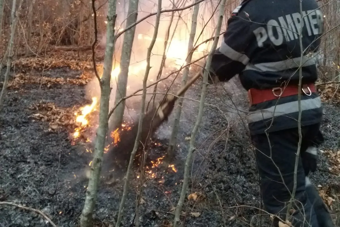 Arad: Un incendiu puternic a cuprins 8 ha de vegetație uscată și litieră și amenința o pădure mare