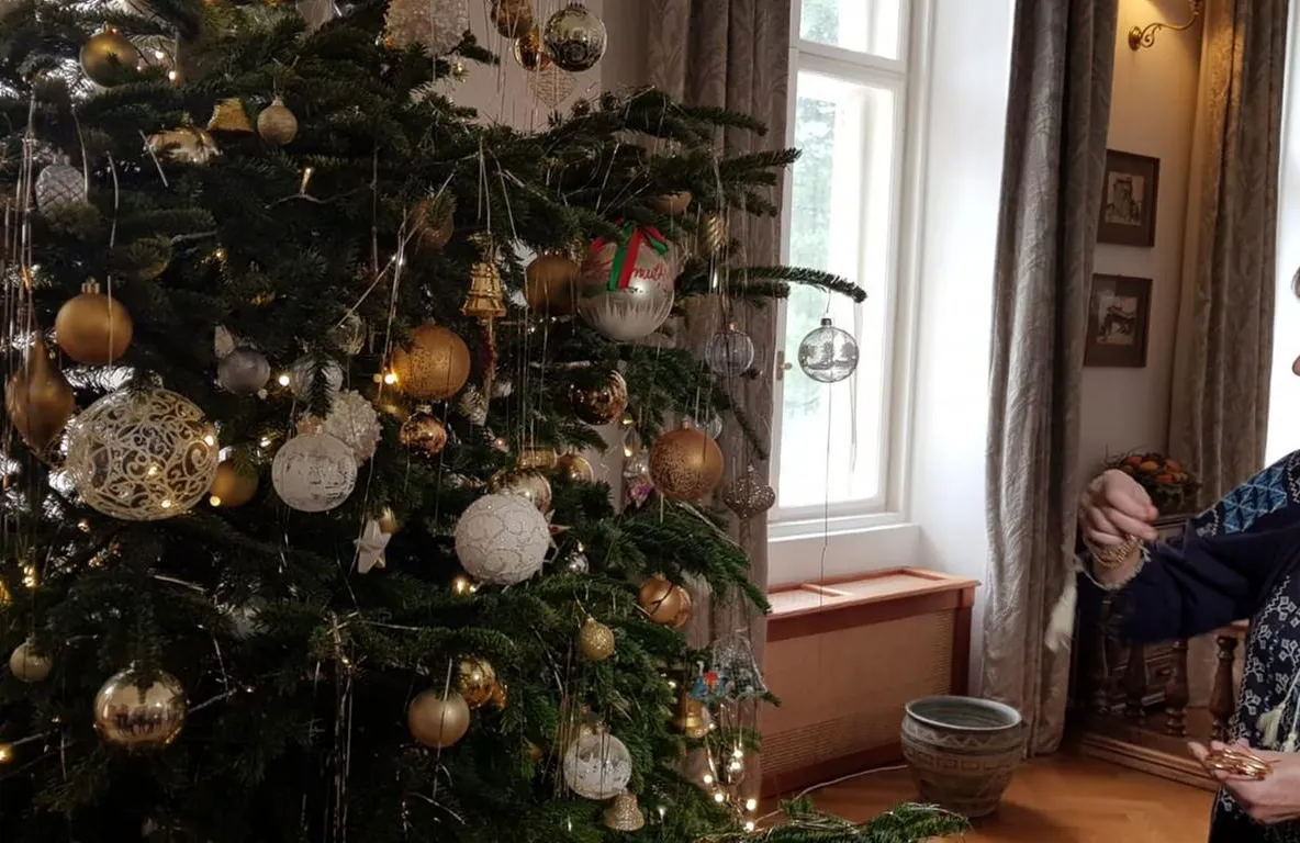 Arad: Ce înseamnă Crăciunul și Anul Nou la Castelul de la Săvârșin. Aprecieri și dezvăluiri făcute chiar de către Familia Regală