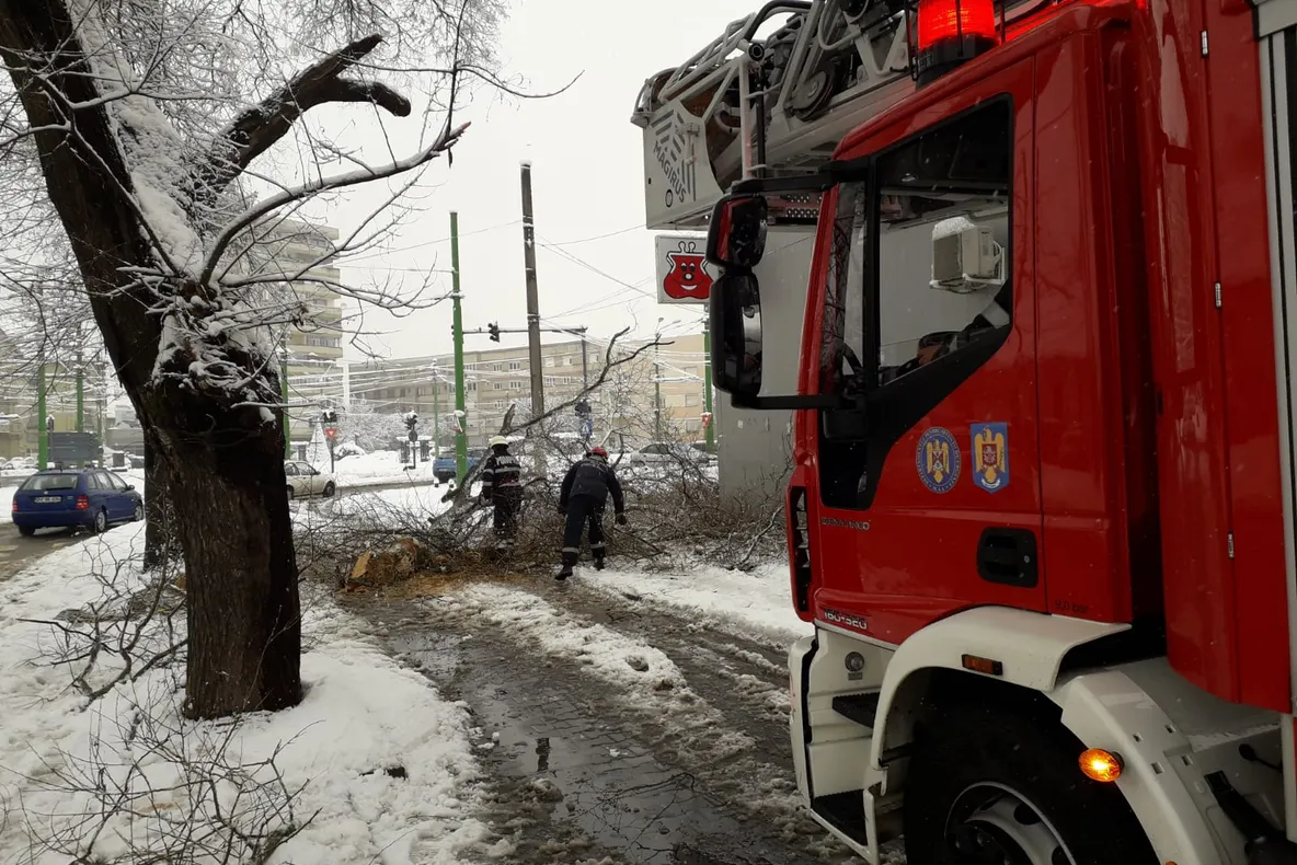 UPDATE. Arad: Pompierii din Arad: 15 misiuni pentru copaci și stâlpi rupți. Pompierii arădeni, în sprijin la Timiș