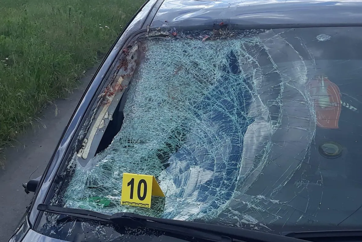 Arad: Biciclist beat, decapitat pe o șosea din Arad. În accident au fost implicați 2 biciliști și un șofer, toți, băuți