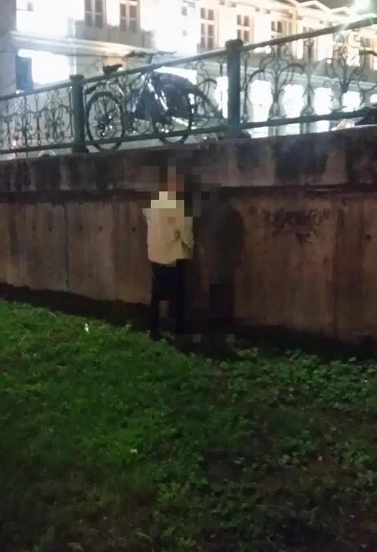 Arad: Amendați pentru că își făceau necesitățile în parcul în care a avut loc Festivalul Berii