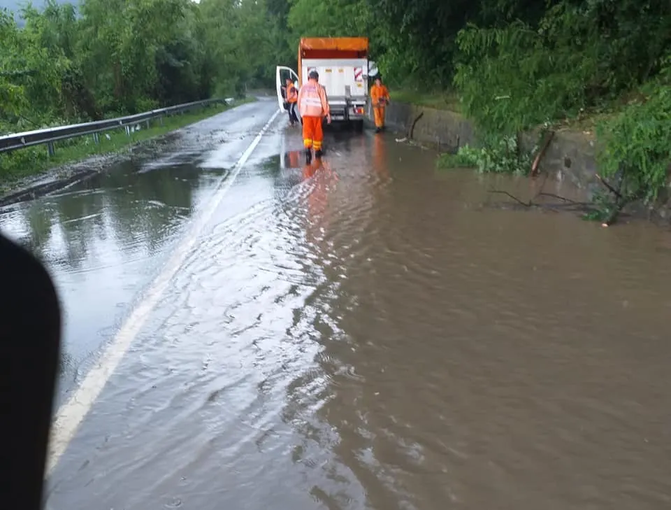 Arad: DN 7 și DN79A, sub ape și copaci rupți de vijelii, în județul Arad