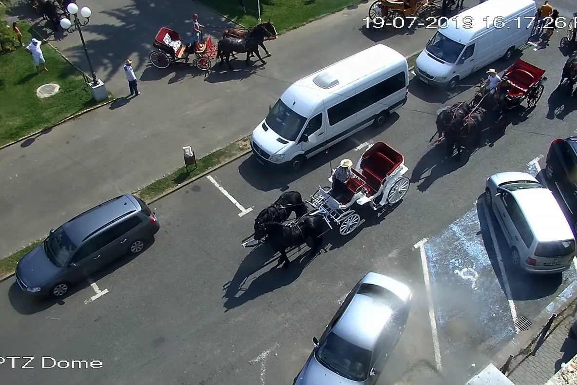 Arad: AUDIO FOTO VIDEO Petrecerile și nunțile cu trăsuri trase de cai, prin centrul Aradului, sancționate. Motivele