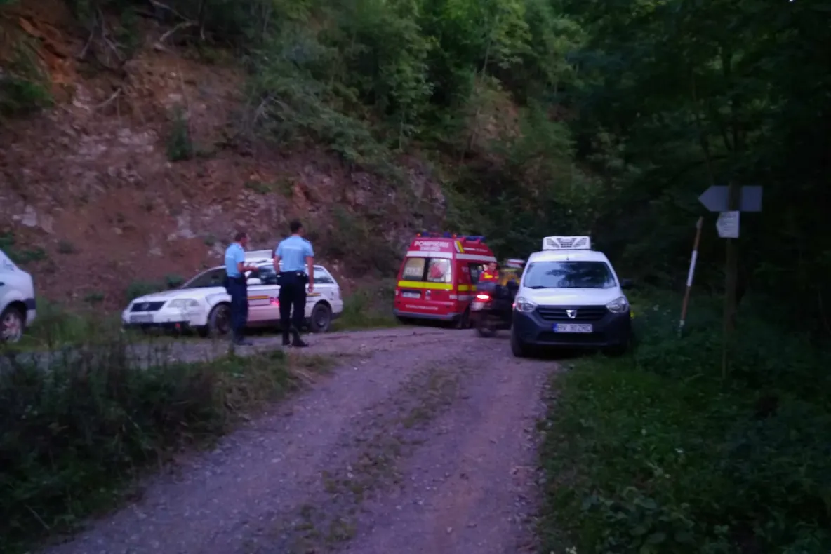 Arad: AUDIO Căutările ciobanului dispărut, în județul Arad, reluate vineri dimineață