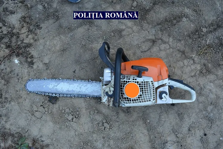 Arad: AUDIO Pădurar amenințat cu motofierăstrăul de către un bărbat pe care l-a prins la furat lemne