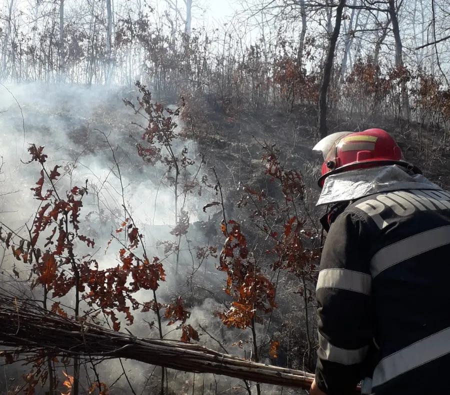 Arad: AUDIO Mesajul pompierilor din Arad: renunțați la curățarea terenurilor prin incendiere. Astfel de incidente care pot fi evitate consumă timpul pompierilor, implicați în salvarea de vieți și lupta cu coronavirusul 