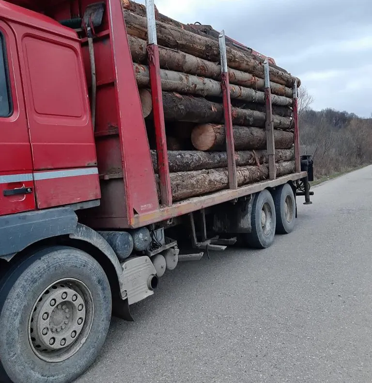 Arad: AUDIO 78 de metri cubi de lemne tăiați ilegal, în valoare de cca 14.500 de lei, recuperați de către jandarmii din Arad