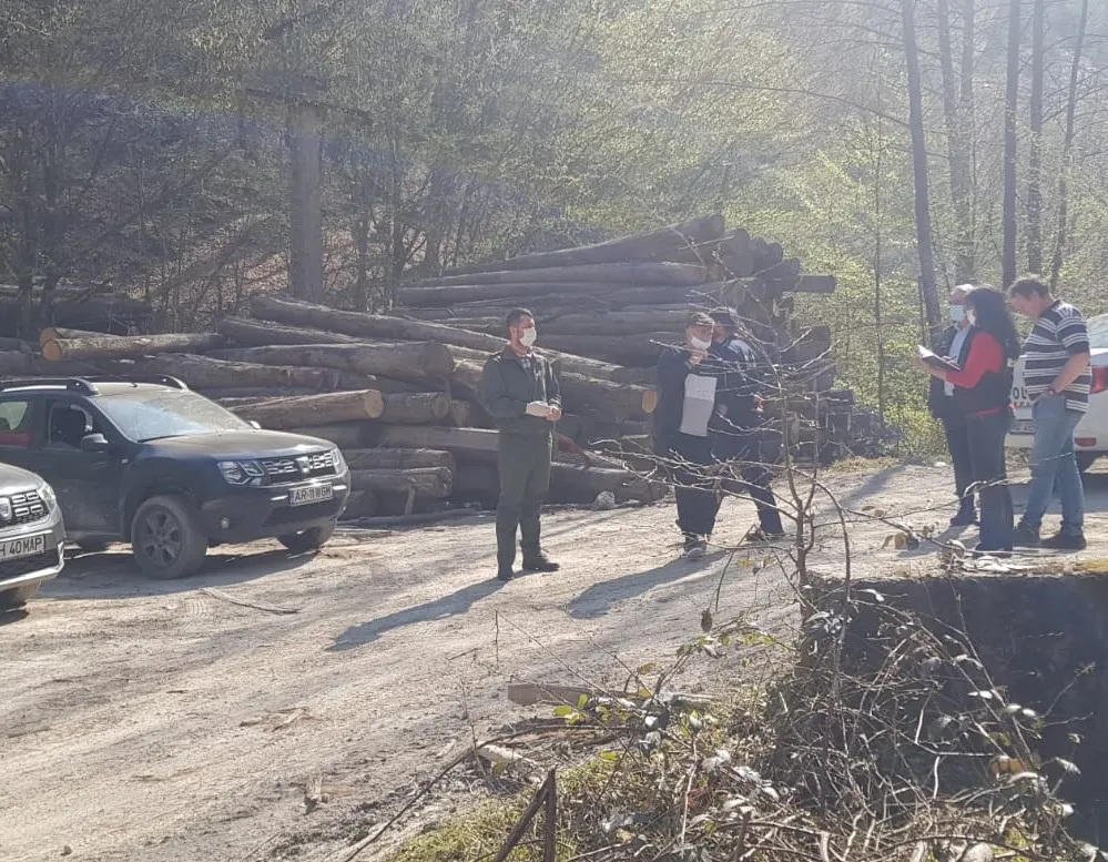 Arad: Amendă de 80.000 de lei, într-o pădure din județul Arad. Ce spune Garda de Mediu Arad
