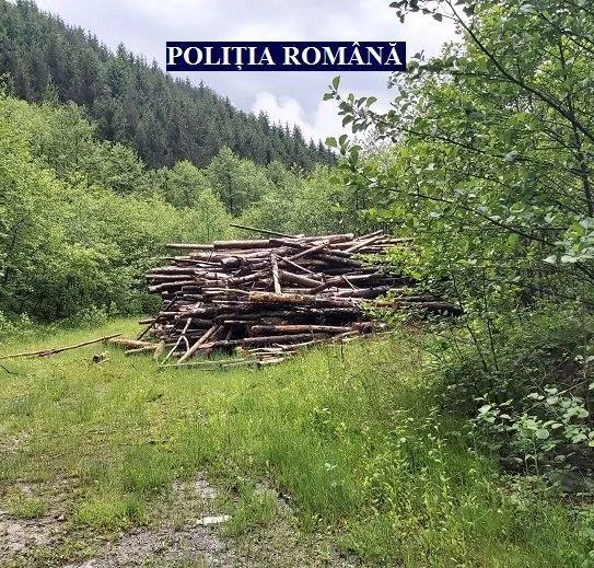 Arad: Controale în păduri și pe râuri, soldate cu amenzi. Ce probleme au descoperit polițiștii