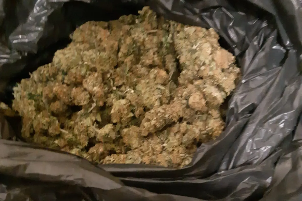 Arad: AUDIO Circa 2 kilograme de cannbis, în valoare de 40.000 lei, confiscate într-o zonă centrală din Arad