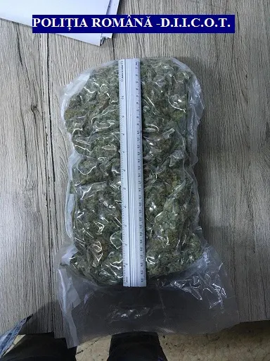 Arad: AUDIO 1,2 kilograme de cannabis, confiscate la punctul de trecere a frontierei Nădlac 2. Procurorii DIICOT și polițiștii au intervenit imediat