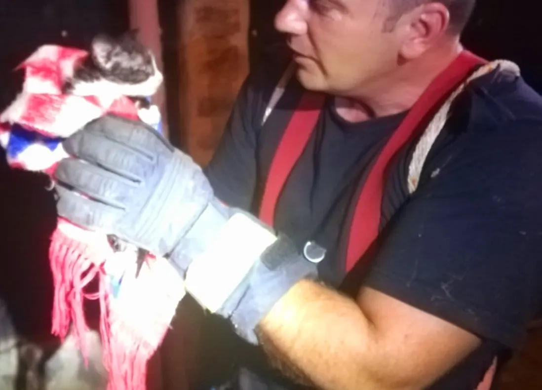 Arad: AUDIO FOTO Misiune inedită pentru pompierii din Arad: au salvat o pisică dintr-o fântână de cca 7 metri