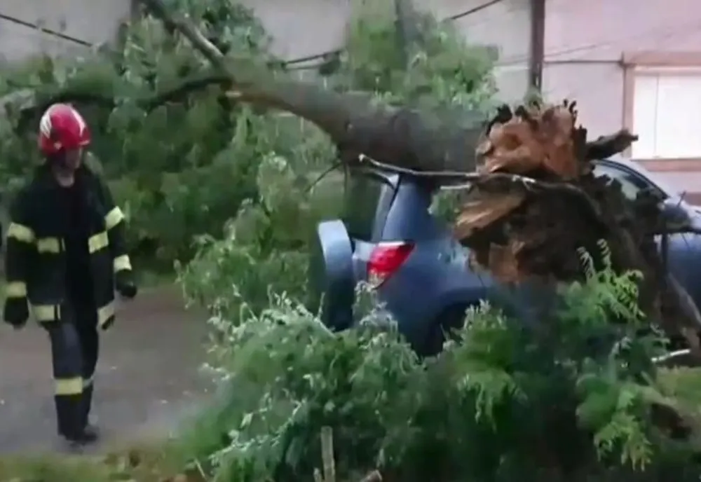 Furtuna a făcut pagube în Arad