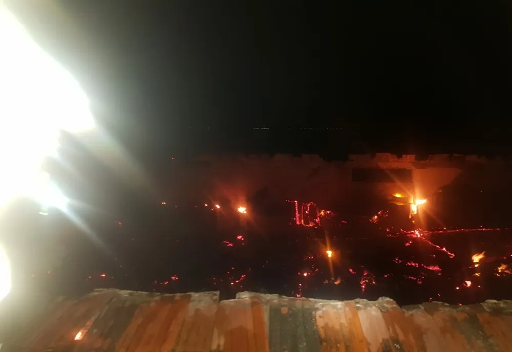 60 de animale moarte într-un incendiu, în județul Arad