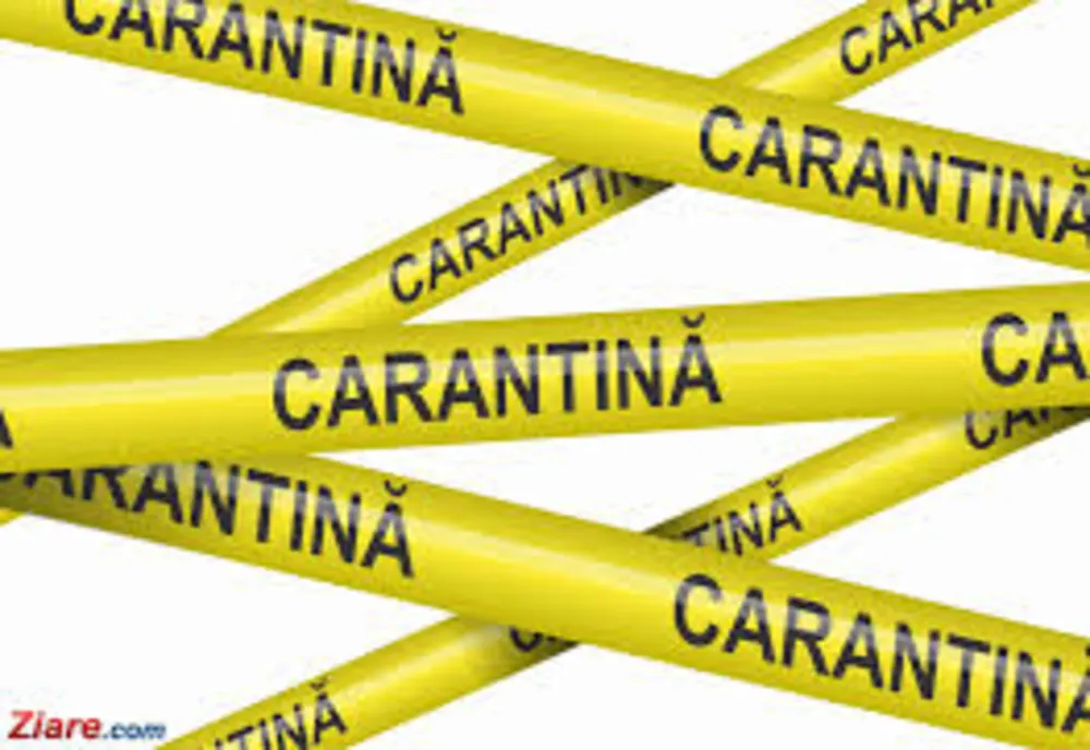 Primarul din Ineu contestă carantinarea orașului