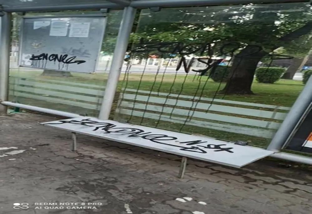 Flori furate şi stație de tramvai vandalizată