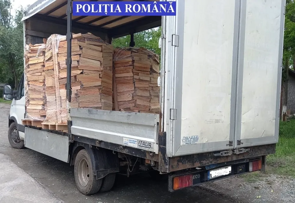 Prinși cu lemne furate