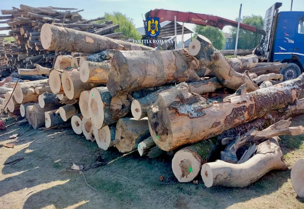 Controale la transportatorii de lemne, pe teritoriul juețului Arad