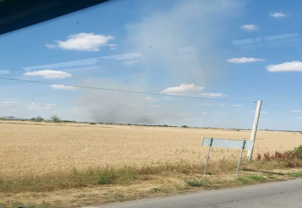 Un lan de grâu s-a făcut scrum în județul Arad