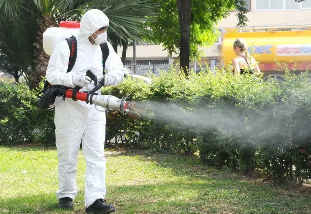 O nouă acțiune de dezinsecție în Arad