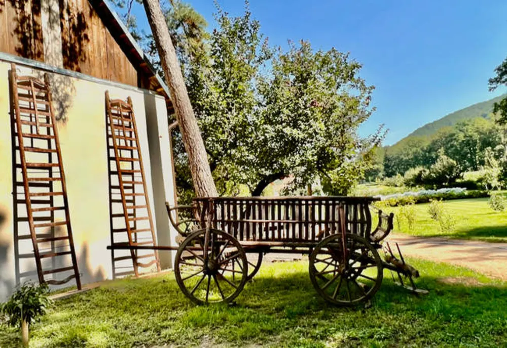 Căruță veche de 100 de ani, expusă în Parcul Regal de la Săvârşin