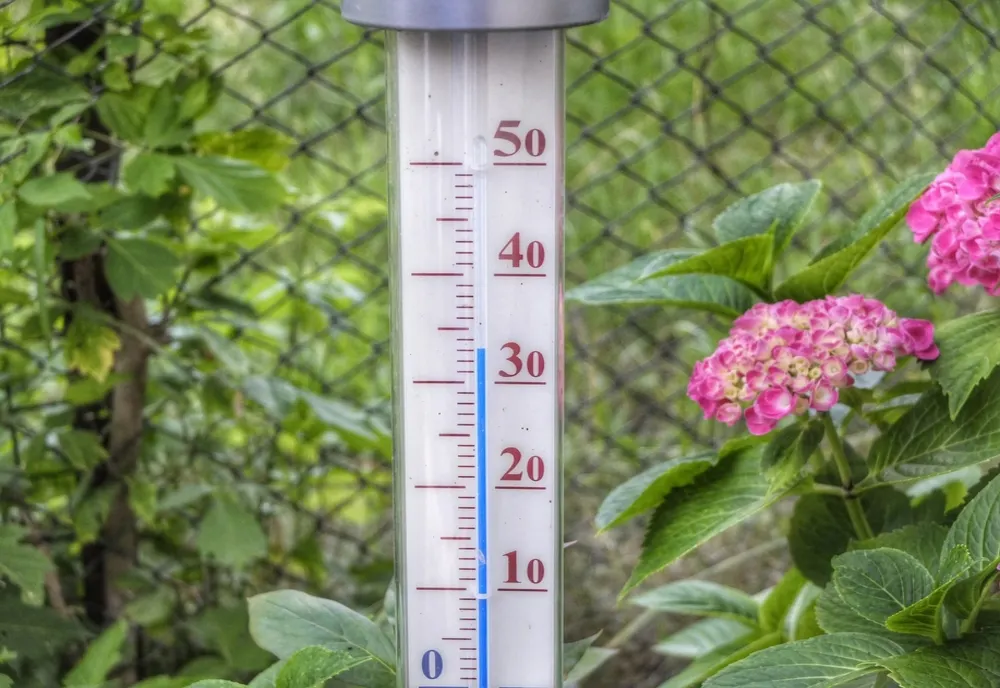 Prognoza meteo pentru luna Ianuarie. Temperaturi mai ridicate decât cele normale