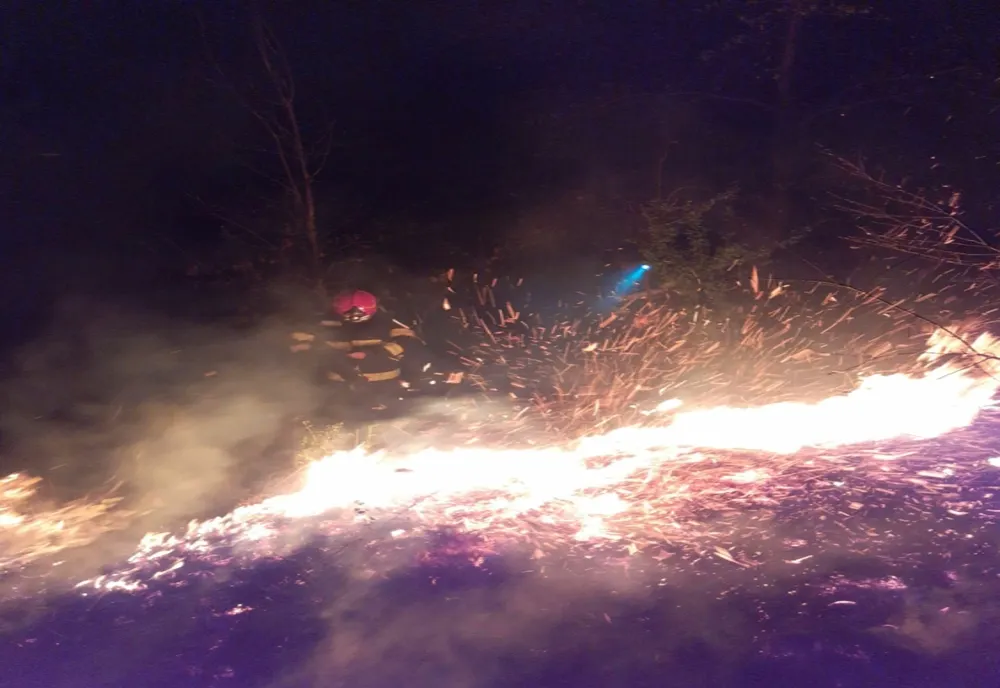 Incendiu la marginea pădurii, intervenție dificilă a pompierilor arădeni