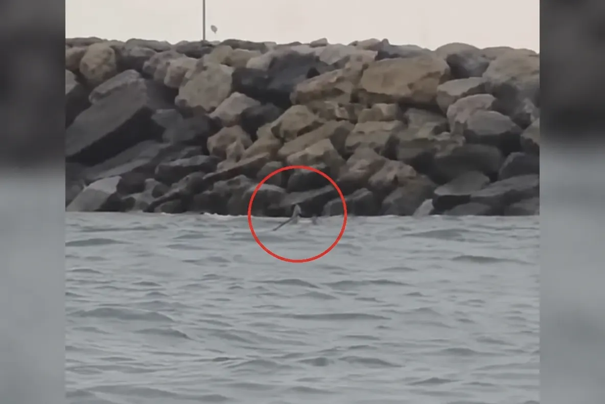 Alertă pe litoral! Dronă maritimă observată la Costinești, lângă un dig: au fost alertate autoritățile VIDEO 