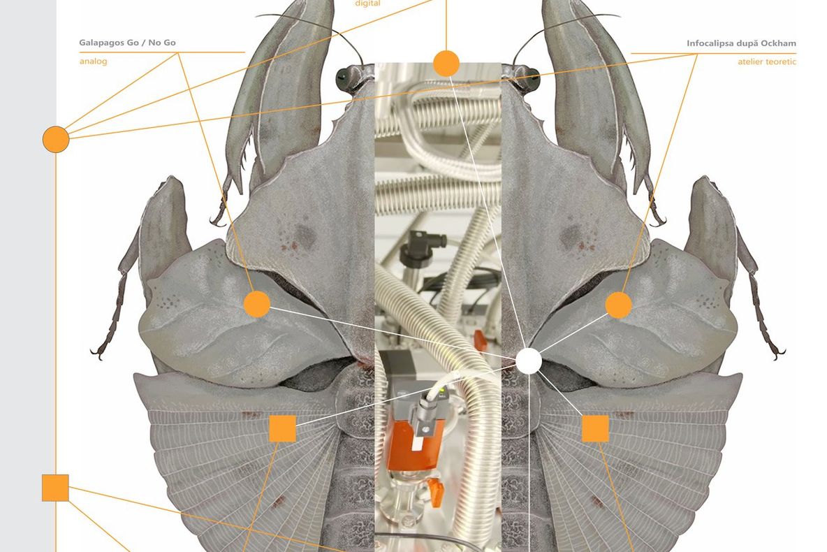 Media Art Festival Arad 2018 începe joi la Muzeul de Artă din Arad și la Complexul Muzeal Arad