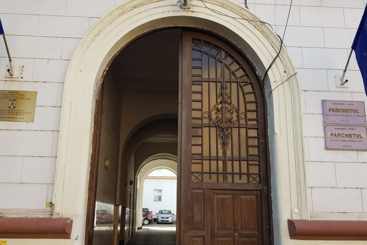 Arad: 36 de persoane, cercetate pentru evaziune fiscală cu material lemnos