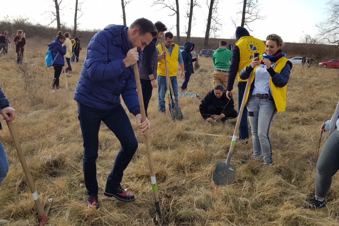 Arad: Circa 1.500 de copaci, plantați pe malul Mureșului. Primarul Gheorghe Falcă, printre cei care au sădit un copac