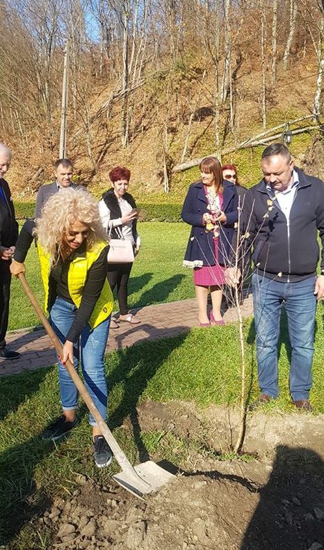 Arad: 100 de copaci plantați pentru 100 de ani de România. Cine a plantat primul copac