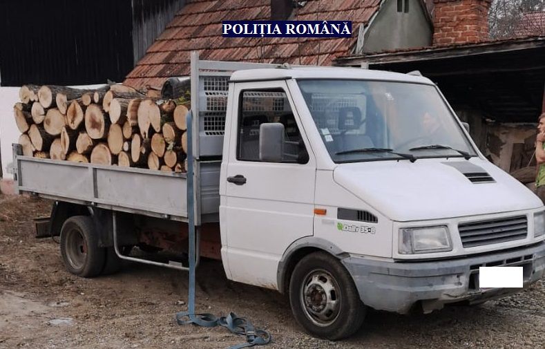 Arad: Și fără permis de conducere, și fără acte pe lemnele transportate, în comuna Regelui