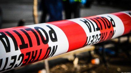 Arad: Câteva zeci de animale moarte, printre care și căprioare, găsite un câmp din Arad. Se fac anchete pentru că ar fi fost otrăvite 