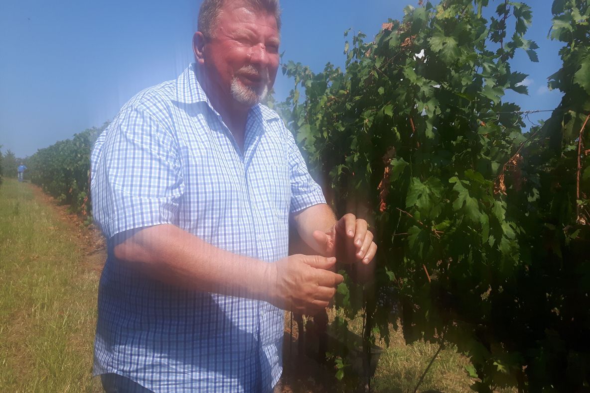 Arad: 700 de sticle cu vin de la unul dintre cei mai renumiți producători din vestul României, donate tuturor cadrelor medicale aflate în linia întâi în lupta cu noul coronavirus