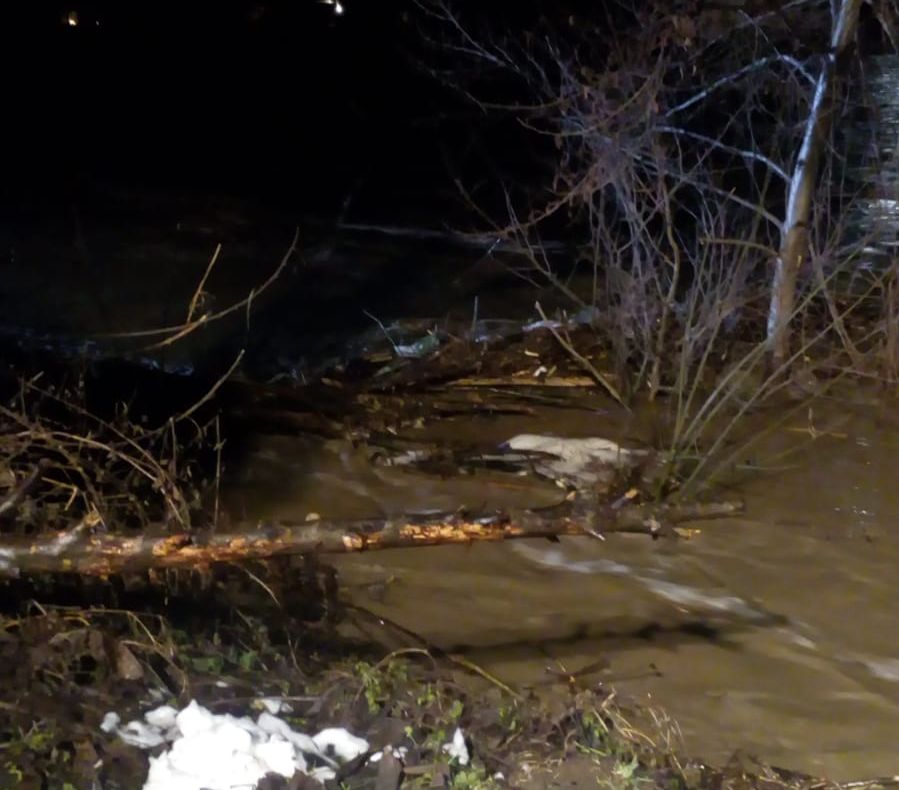 Arad: Pompierii intervin în seara de Ajun de Crăciun pentru decolmatarea unui pod