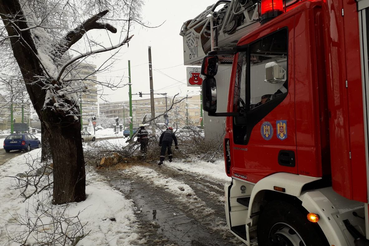 UPDATE. Arad: Pompierii din Arad: 15 misiuni pentru copaci și stâlpi rupți. Pompierii arădeni, în sprijin la Timiș