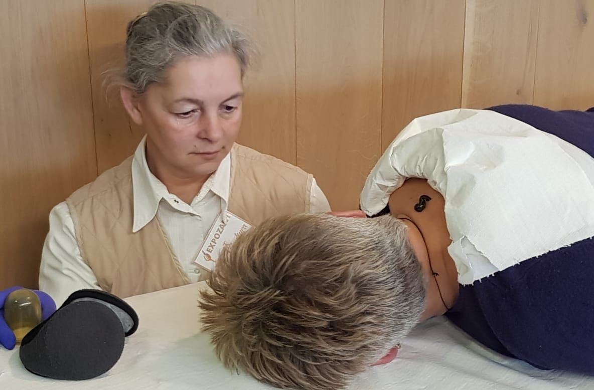 Arad: Medicul care readuce în atenție tratamente vechi de mii de ani: lipitorile și veninul de albină