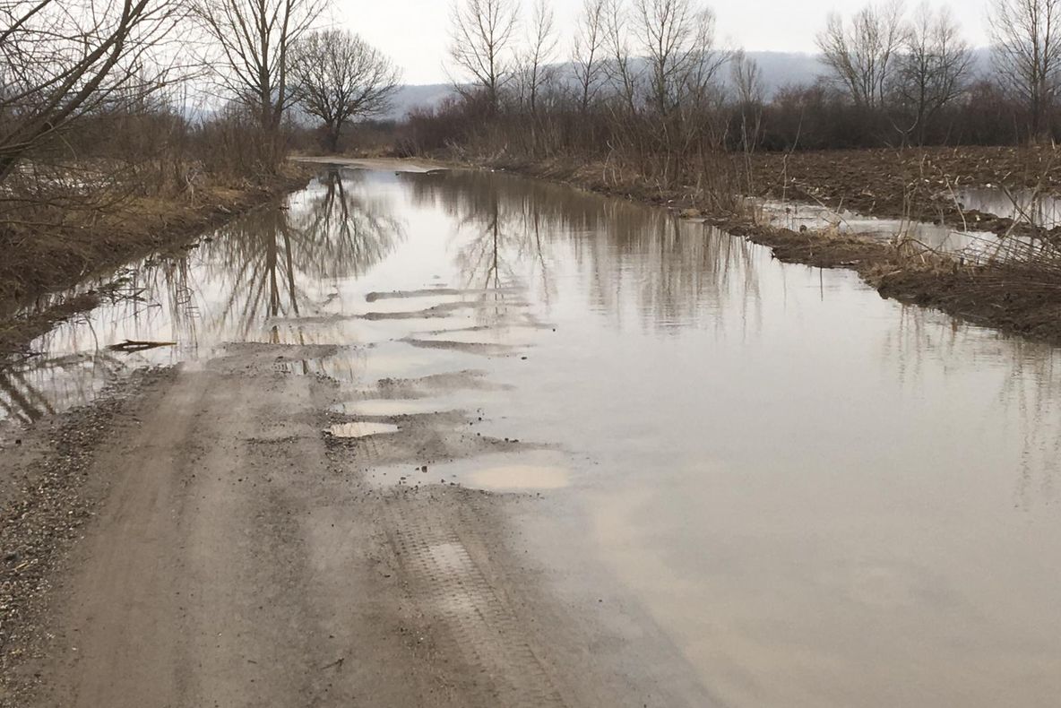 Arad: Drum județean închis din cauza inundațiilor. 50 de ha de terenuri, sub ape. Și totuși există și o chestie bună