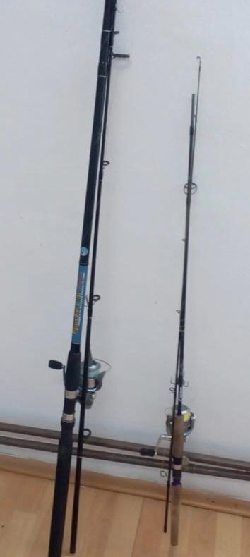 Arad: Doi bărbați, prinși în timp ce pescuiau ilegal în Mureș. Ce au descoperit polițiștii