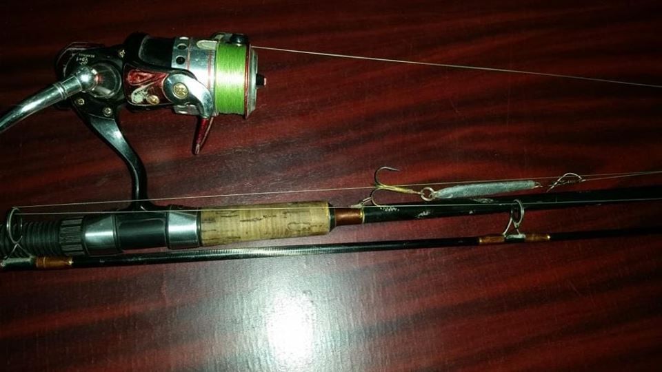 Arad: 2 bărbați, prinși la braconaj pe Mureș