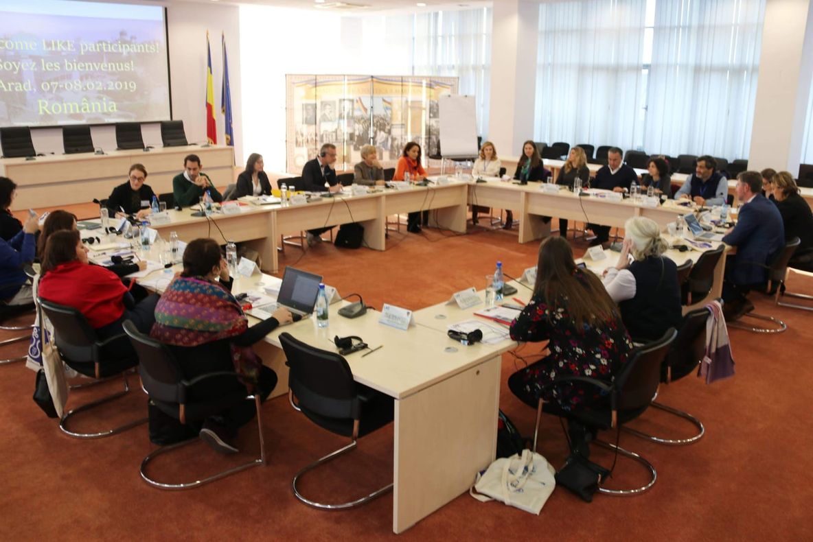 Arad: Activitățile LIKE pentru următorii doi ani, discutate la Arad