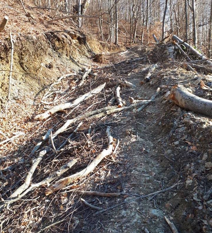 Arad: Focar de infecție în apropierea unui mare liceu din Arad. Rromi din Sălaj și Satu Mare, cu 10 copii, s-au făcut stăpâni peste o casă care nu le aparține. A intervenit Poliția Locală Arad