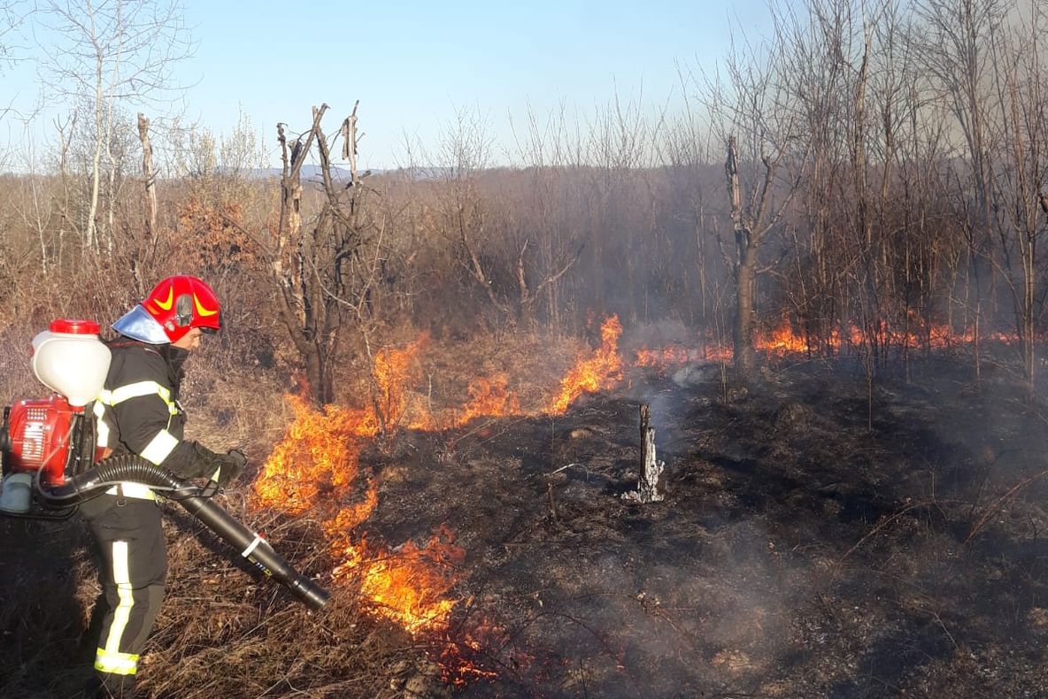 Arad: Incendiu puternic de vegetație uscată, sâmbătă, în județul Arad. Atenționările lansate de către pompieri