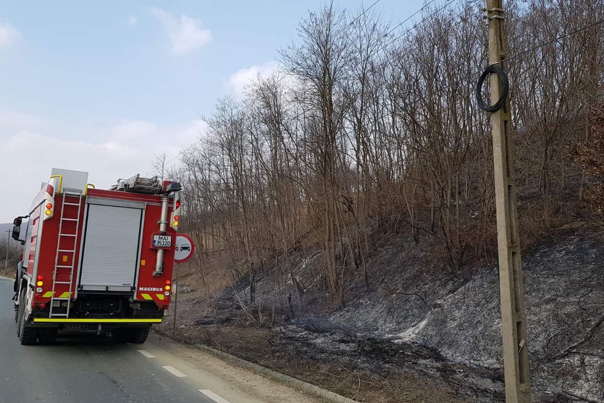 Arad: FOTO Pădure de lângă DN7, din județul Arad, cuprinsă de un incendiu, salvată de către pompieri. 11 incendii de vegetație uscată, într-o săptămână