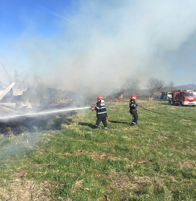 Arad: Mai multe animale au murit, după ce adăpostul în care se aflau a fost cuprins de foc, extins de la un incendiu de miriște scăpat de sub control 