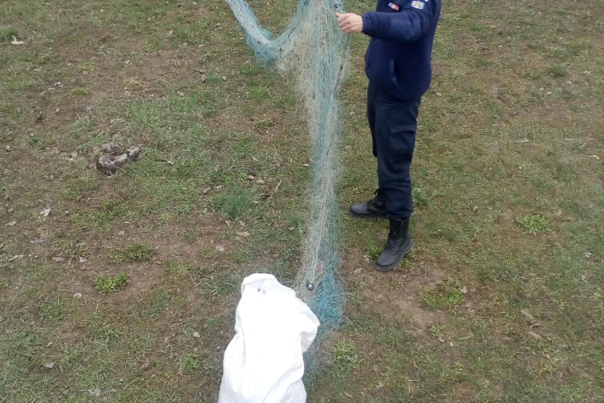 Arad: Pescuit ilegal cu unelte de pescuit comercial, în județul Arad. Ce au descoperit jandarmii