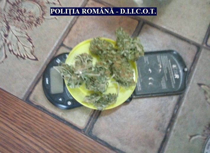 Arad: Traficanți de droguri, arestați în județul Arad. Au vândut 1 kg de cannabis unor agenți sub acoperire, la un preț special
