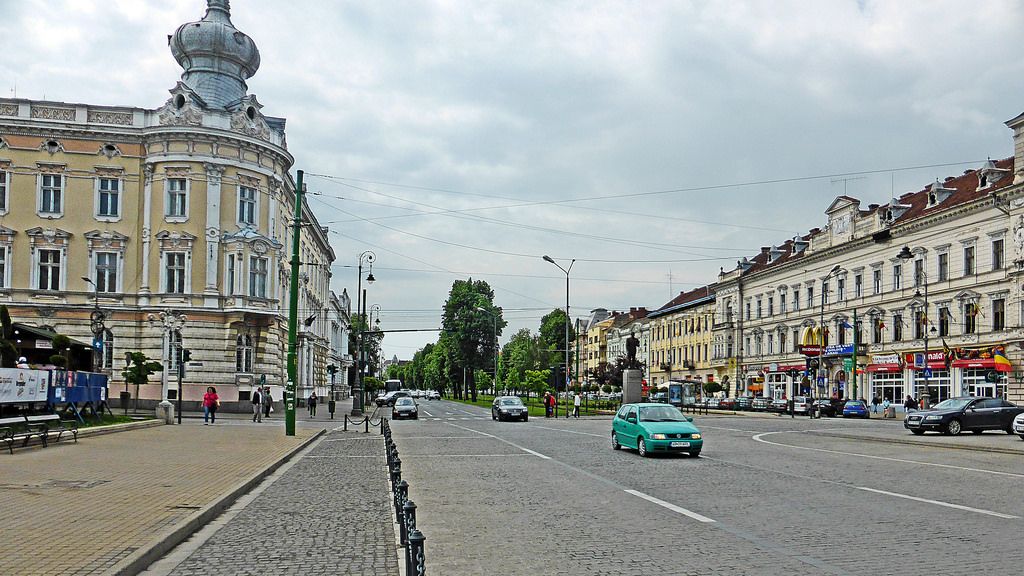 Arad: Invazia ciorilor: oamenii se plâng de gălăgie și mizerie. Și Primăria Arad spune că are probleme din cauza păsărilor: nu le poate vâna sau goni. Motivul